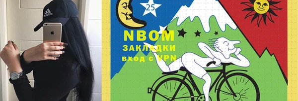 шишки Алексин