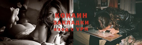 шишки Алексин