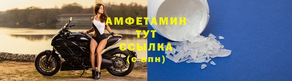 прущие грибы Алексеевка