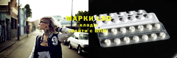шишки Алексин