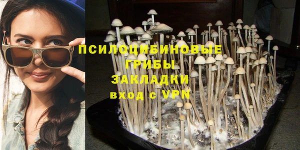 прущие грибы Алексеевка