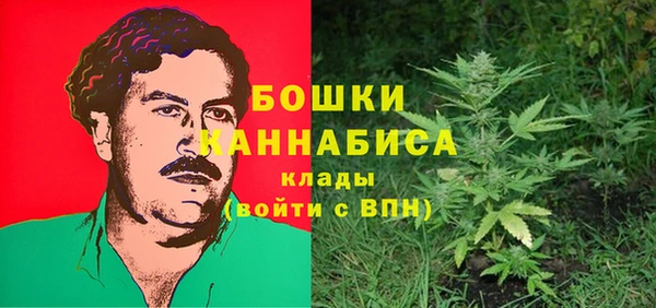 apvp Алзамай