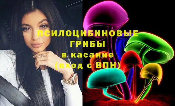 apvp Алзамай